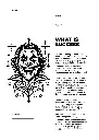 joker in-front digital.webp