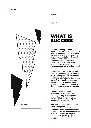 Artboard 6.webp